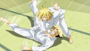 Make your choice!! If you're going to make a wish...