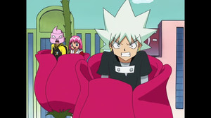 The War of the Roses... or Lilacs... or Daffodils